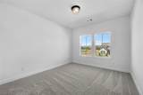 32433 Forktail Lake Drive - Photo 18
