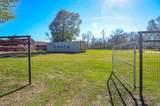 24501 Donegal St - Photo 34