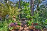 1804 Park Street - Photo 47