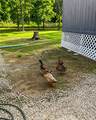 236 County Road 4502 - Photo 25