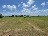 Lot 14 Turtle Bay Cove Drive - Photo 5