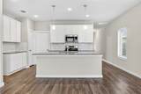 21619 Coral Mist Drive - Photo 10