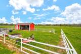 39745 Jozwiak Lane - Photo 41