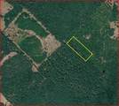 0 County Road 1655 - Photo 1