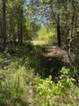0 County Road 1655 - Photo 6