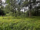 TBD Francies - Photo 3