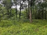 TBD Francies - Photo 4