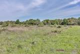 Tract 2 Farm Market 530 - Photo 10