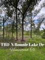 TBD N Bonnie Lake Dr - Photo 1