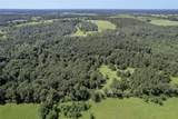 TBD Neal Helton Road - Photo 16