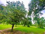 14733 Calhoun Main House Road - Photo 37