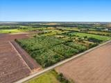 Lot 12 Cow Creek Road - Photo 4