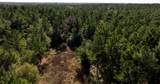 4604-16 Highway 105 - Photo 5