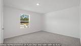 40635 Balsam Run Lane - Photo 13