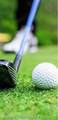 21857 Golden Putt Drive - Photo 17