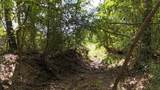 TBD Cherokee Trail - Photo 4