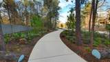 15618 Turtlehead Trail - Photo 37