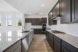 2806 Ametrine Drive - Photo 13