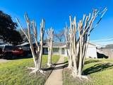 802 Spinn Street - Photo 10