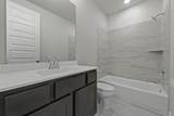 4635 Hydra Lane - Photo 11