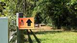 19610 Timber Ridge Drive - Photo 49