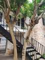 7900 Westheimer Road - Photo 20