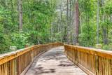 2947 Palominos Way - Photo 41