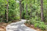 2947 Palominos Way - Photo 42