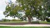 4410 Rain Lily Court - Photo 25
