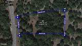 857 Rutherford - Photo 3