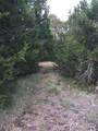 857 Rutherford - Photo 6