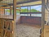 12623 Ann Louise Road - Photo 15
