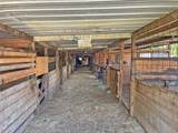 12623 Ann Louise Road - Photo 2