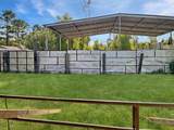 12623 Ann Louise Road - Photo 4