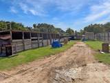 12623 Ann Louise Road - Photo 9