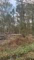 25801 Coleman Drive - Photo 4