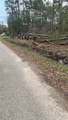 25801 Coleman Drive - Photo 8