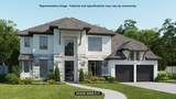 24710 Rosinweed Meadows Lane - Photo 1
