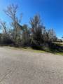0 Yaupon Street - Photo 5