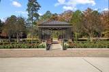 318 Paradise Isle - Photo 47