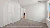 887 Lady Bird Lane - Photo 12