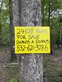 24838 Marks Road - Photo 3