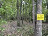 24838 Marks Road - Photo 4