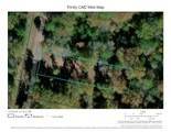 129 Post Oak Point - Photo 5