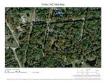 129 Post Oak Point - Photo 6
