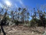 Lot 35 Friar Tuck Drive - Photo 11