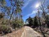 Lot 35 Friar Tuck Drive - Photo 13