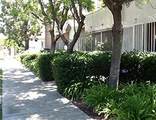34 St James Park W - Photo 4