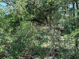 281 Redberry Rd - Photo 16