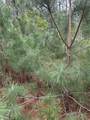 2978 County Road 3545 - Photo 20